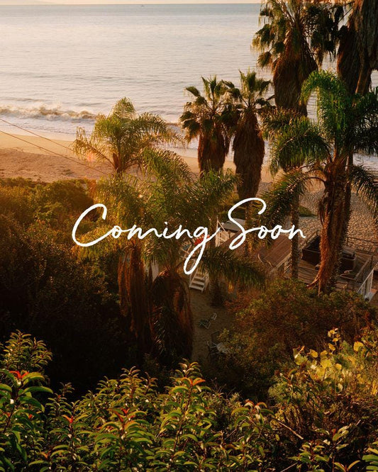 LA Palm Tree Patch – Large 9.5"x8" Iron-On Patch | Preorder | California Back Patch | City Vibes | Los Angeles Jacket Patch